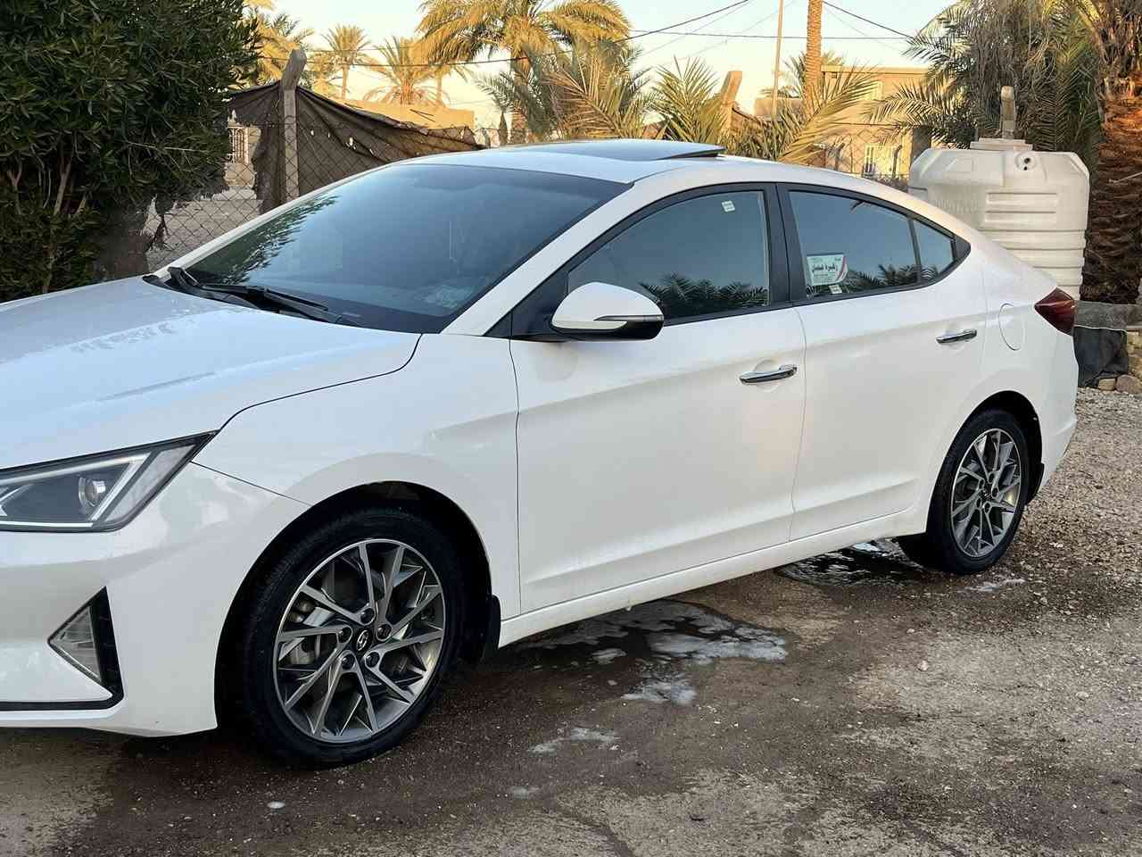 النترا 19 خليجي فول مكفوله البيع رقم بابل ***********مكان بابل
