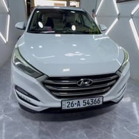 محمد الحيالي • بروانة حي الشرطة • مقطع فيديو