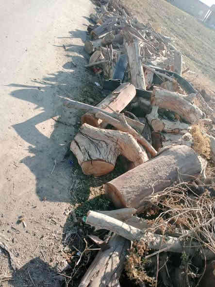 حطب  للبيع التواصل مع صاحبهن
***********
