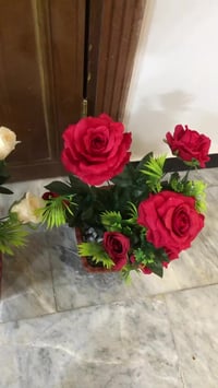 الشعب بغداد • ٧ سنادين • بيع خاص