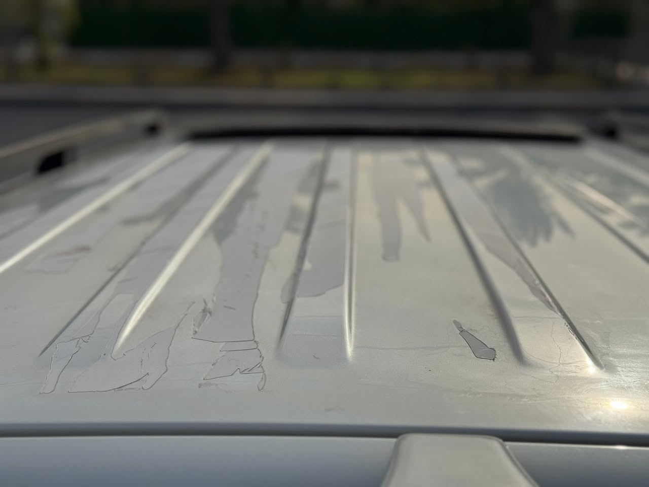 السلام عليكم باجيرو جديدة وضع الزيرو 2019 علامة الذهبية راس الارنب ماشية 33 الف
فتحة سلايد
كشنات جلد 
محرك 6 سلندر 3500
حساس خلفي 
كامرة 
شاشة كبيرة
3 جهات تحكم ستيرن
بلوتوث
تبريد منفصل 3 قطع
لايتات زنون
لد نهاري 
مري شفط
ثلاجة بالجكمجة
داخل صاج
رقم اربيل تحويل فقط 
السيارة جديدة جديدة مكفولة من الصبغ والفتح والبارد والخط والرصعة
مابيها ولا ملاحظة
مكاني بغداد 
***********
