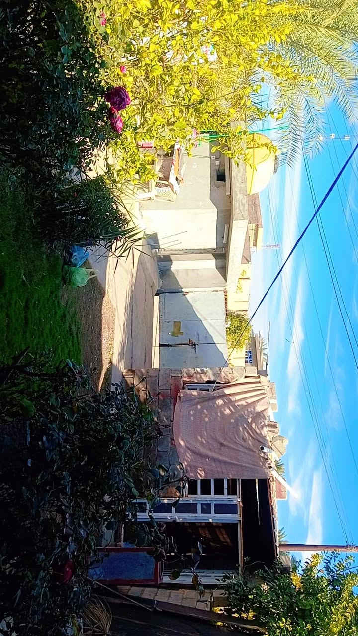 يوجد دار البيع 14رمضان إصلاح الثانيه رقم
***********
***********
