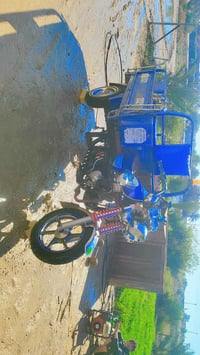 ستوته • فحل ٢٠٢١ • السماوه