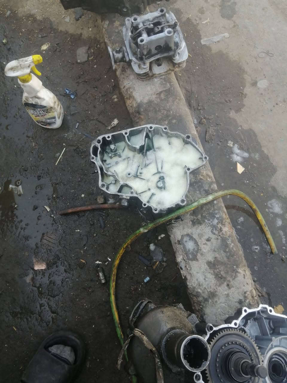 سلام عليكم على بركة اللة شرك  تكتك2020 ضمان6اشهر  متواجد خاص او وتساب***********  والي ماعده يشلع عيوني بلاش وعلي
