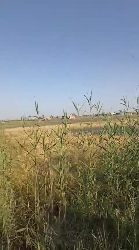 دونمين للبيع في اليوسفيه 
نهايت الشهداء بصف الضباط بيهه طريق من ضباط وطريق من شهداء 
طريق الهه جدامهه وبنهايته طريق  
مي جدامهه وبنهايتهه  وكهرباء فوكاهه 
وجدامهه جامع
واجهيه 21 

ونزالهه240
سعر دونم 53 مليون 