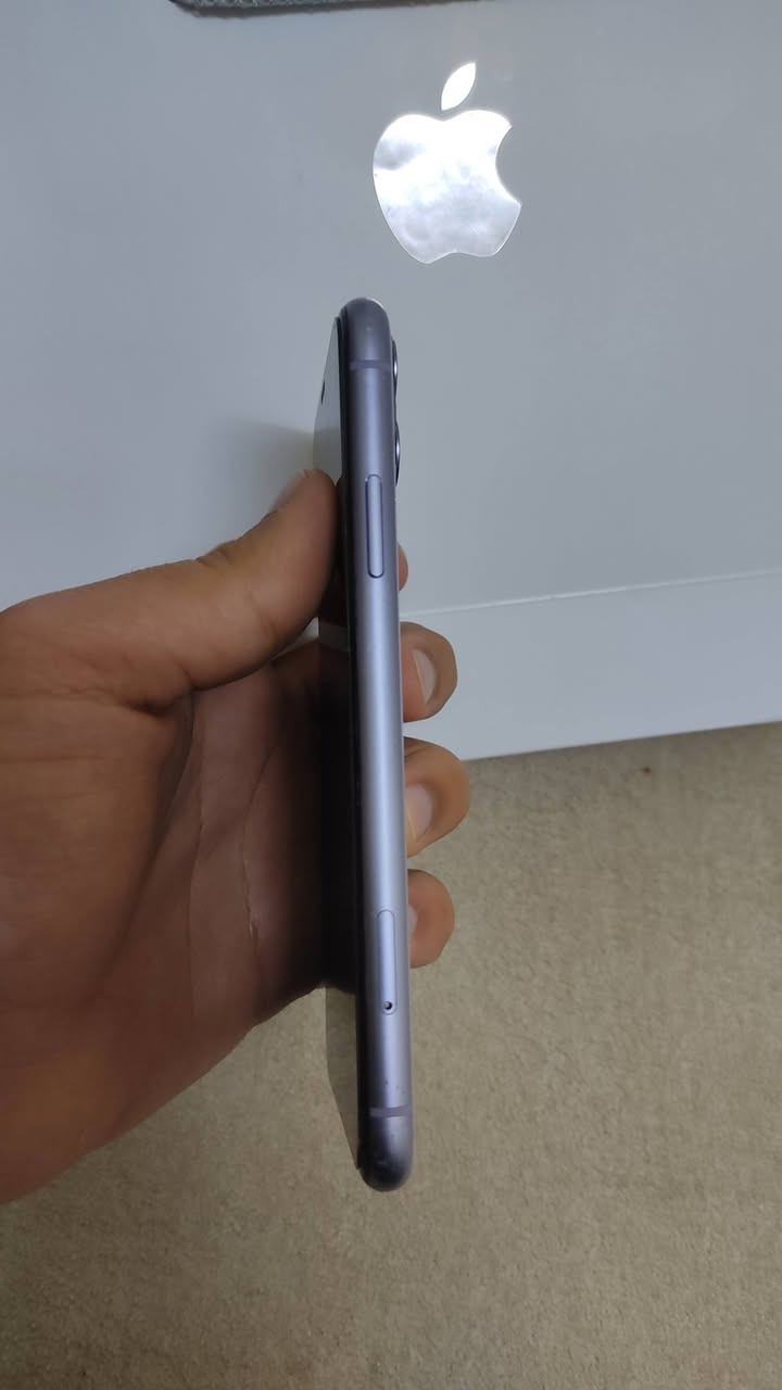 نرخی تەنها (٨٣) دۆلار!
یەک کۆمێنت بکە و هەموو زانیاریەکانت لۆ دەنێرم.


**إذا كنت صاحب هذا الإعلان وتريد حذفه لأي سبب، رجاءا أرسل رسالة إلى الدعم الفني**