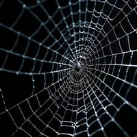 محتاج شغل • بالخدمة • أي شغل