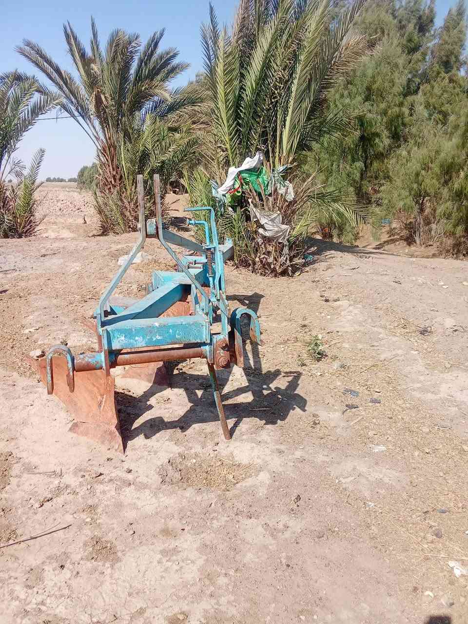 فدان رباعي تسكام لاالبيع ***********

