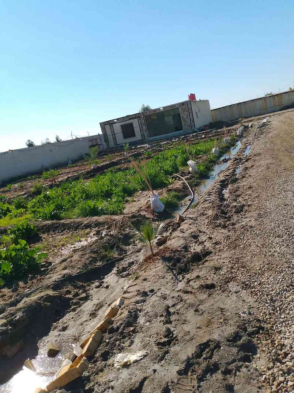 دونم مسيج بلوك مع دنك صب مع مشتمل جاهز للسكن 
مساحه 50في50 حي جوادين بين نزله ثالثه وثانيه 
سعر 100مليون
***********
