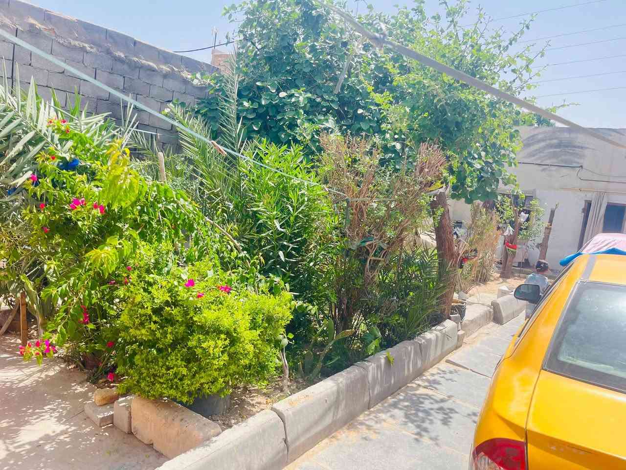 سلام عليكم بيت للبيع يحتوي على غرف 2 ودوانيه واكو مجال هيكل للدوانيه يصير بي 3 غرف ودوانيه وهول ومطبخ وحمامات وحديقه امام البيت وخلف البيت مساحه الكليه 350 العقار  زراعي
سگف مالته عگاعده السطح ما يخر ابد
كراج جبير يشيل 3 سيارات وامام البيت ساحه جبيره بيهه مواكب يعني البيت ما مضايق بس مو من ضمن البيت 
وبصف البيت الك مترين يبعد عن شارع العام اقل من 200 متر السعر 30 وبي مجال للشراي لمو شراي لا يتصل 
الرقم ***********
 العنوان البصره الهارثه حي المرتضى
