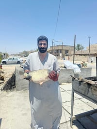 عروضنا اليوم في مجزرة ومشويات ابو النار لبيع الاسماك والدجاج الحي سعر ...