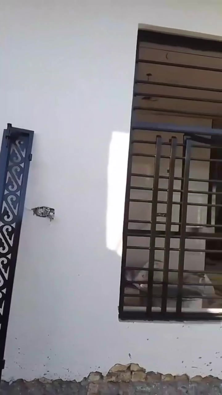 صبغ وتنضيف وتصليح بيبان وشبابيك ومحجرات درجه اولى بسعار مناسبة الاتصال عل رقم *********** أو مراسلتي خاص وتدللون 🌷
