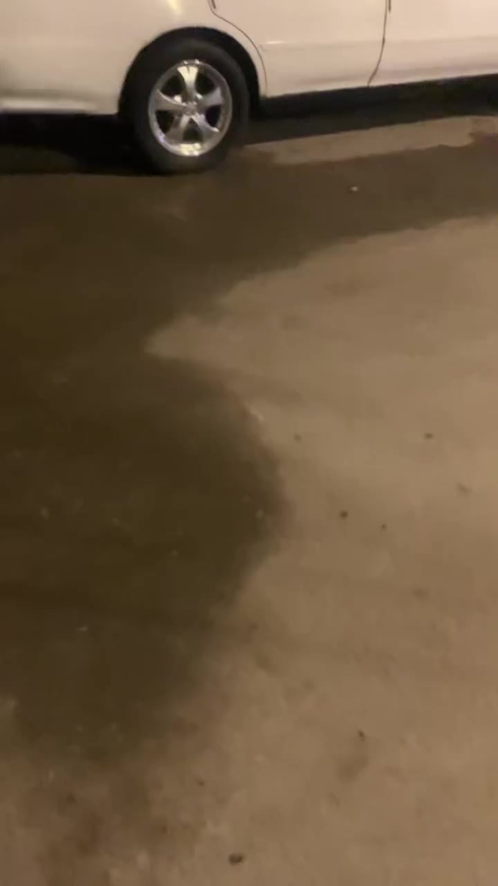 سلام وعليكم  كرسته نفخ  لبيع  مكفوله من الكصه ونقل كفاله  توه شاديله مكينه جديده برقي ماه مفتوح. بيه مكينه وكير كفلك  سياره معمره مصبوقه جماليه. بسمي رقمه بصره  (  أ  ) سنويه تنتهي 2029/6/10   (سعر ( 58 )  وبيه مجال  لعلوان بصره كرمت علي   وانه خادم لشراي


**إذا كنت صاحب هذا الإعلان وتريد حذفه لأي سبب، رجاءا أرسل رسالة إلى الدعم الفني**