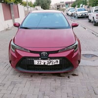 كورلا • ٢٠٢٠ • كركوك