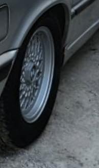 تخم ويل زيرو شرط بدون صبع وشرط اصلي للبيع 07709588915