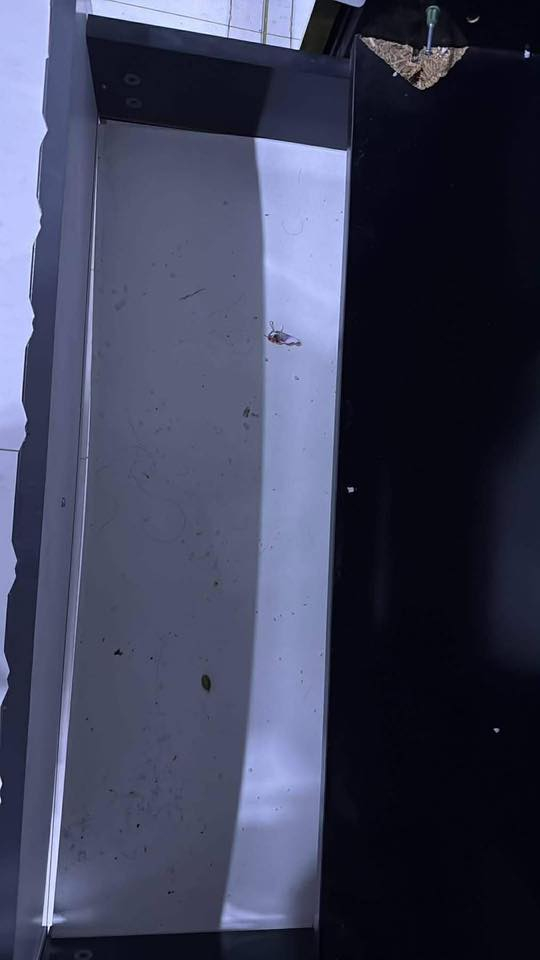 غرفه نظيفه ماخذها اقل من سنه ب500 وبيها مجال مكان بغداد ‪0773 478 5393‬
