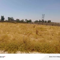 أرض زيونة • ١٥٠م • شارع الوزير شارع 124