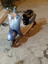 مصرية • سلف معطّل • فيها مجال