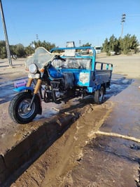 موديل ٢٢ • أوراق