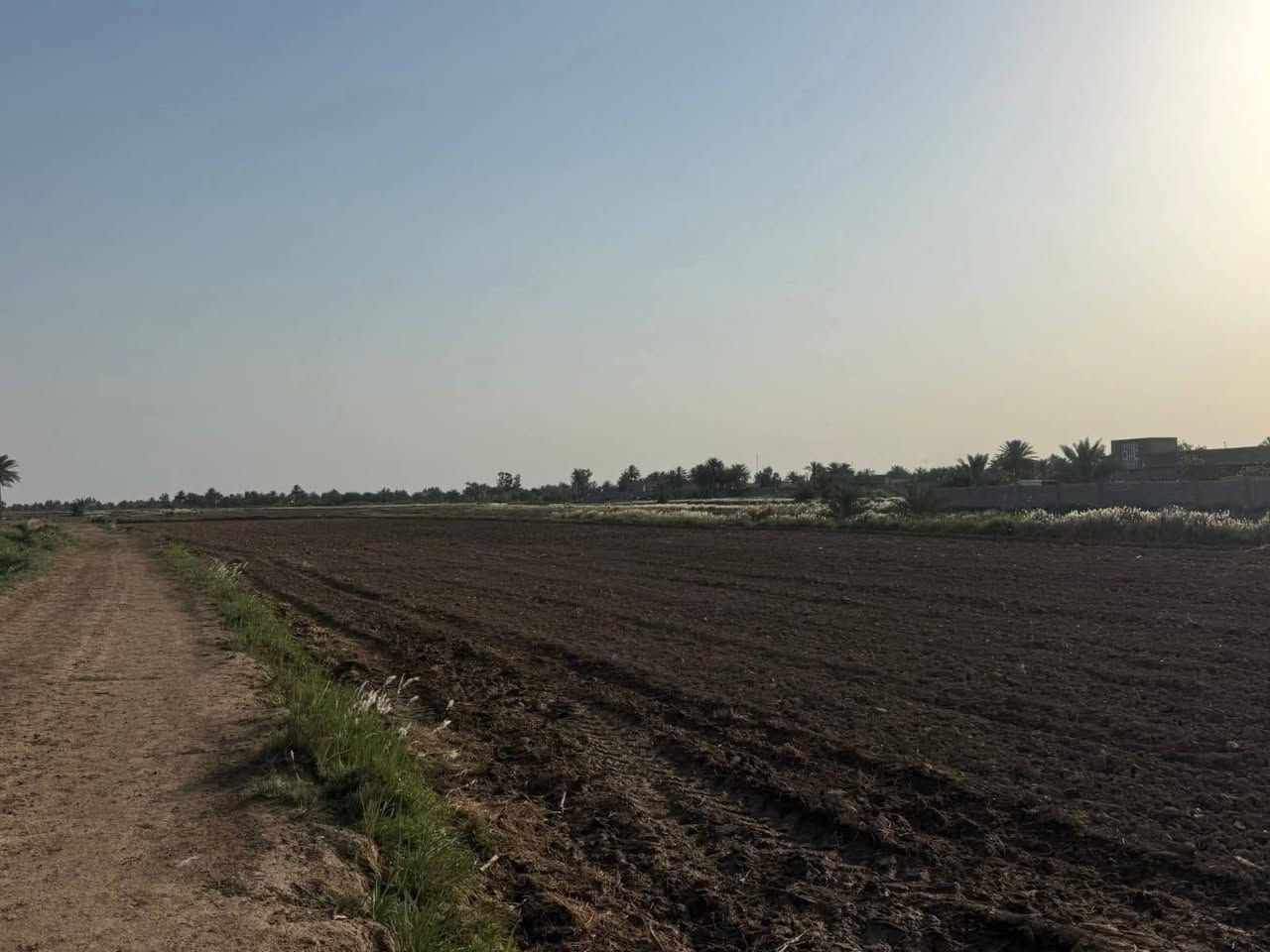 ارض طابو زراعي سند 25 باسم المالك  
شرط التحويل – تحويل مباشر  
الموقع:  واسط – قضاء الزبيدية

على طريق سدة الجدول، محاذية لنهر دجلة  
تبعد حوالي 400 متر عن سيطرة السدة ومركز المدينة

🔹 المساحة: 18 دونم  
🔹 الواجهة: 23 متر  
🔹 بيها 5 بيوت

مميزات الأرض:  
✔️ طريق رسمي  
✔️ حصة مائية  
✔️ ماطور  
✔️ كهرباء متوفرة  
✔️ تبليط  
✔️ أرض مستصلحة ومزروعة  
✔️ محولة كهرباء خاصة داخل الأرض  
✔️ قابلة للتحويل المباشر

📌 تباع كاملة أو تجزئة بالدونم  
📹 كما موضح في الفيديو

للاستفسار:  
***********  
***********
