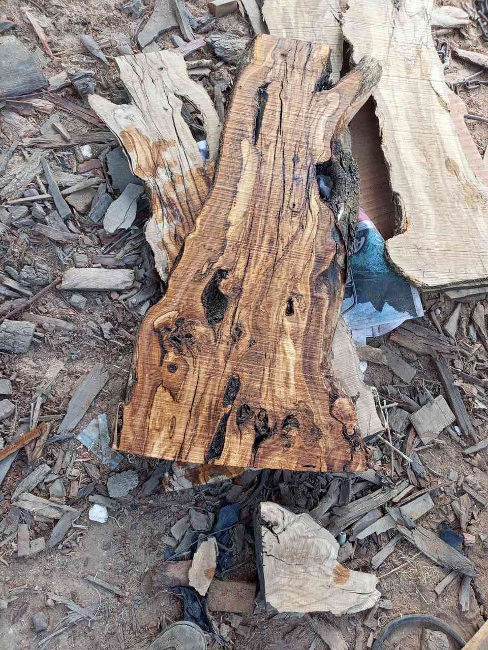 قوي قلبك واشتري ماتخسر خصوصا من اكلك قطعة حلوة وما تكرر


**إذا كنت صاحب هذا الإعلان وتريد حذفه لأي سبب، رجاءا أرسل رسالة إلى الدعم الفني**