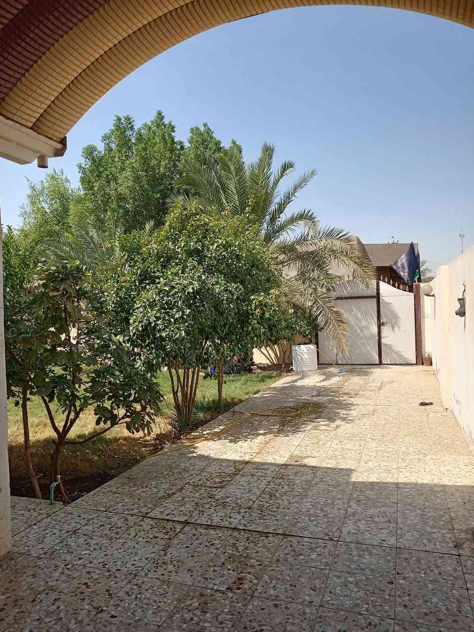 سلام عليكم ورحمه دار للبيع في العباسية الكوفة عله شارع تجاري مساحة 400متر سعر80.    ***********
