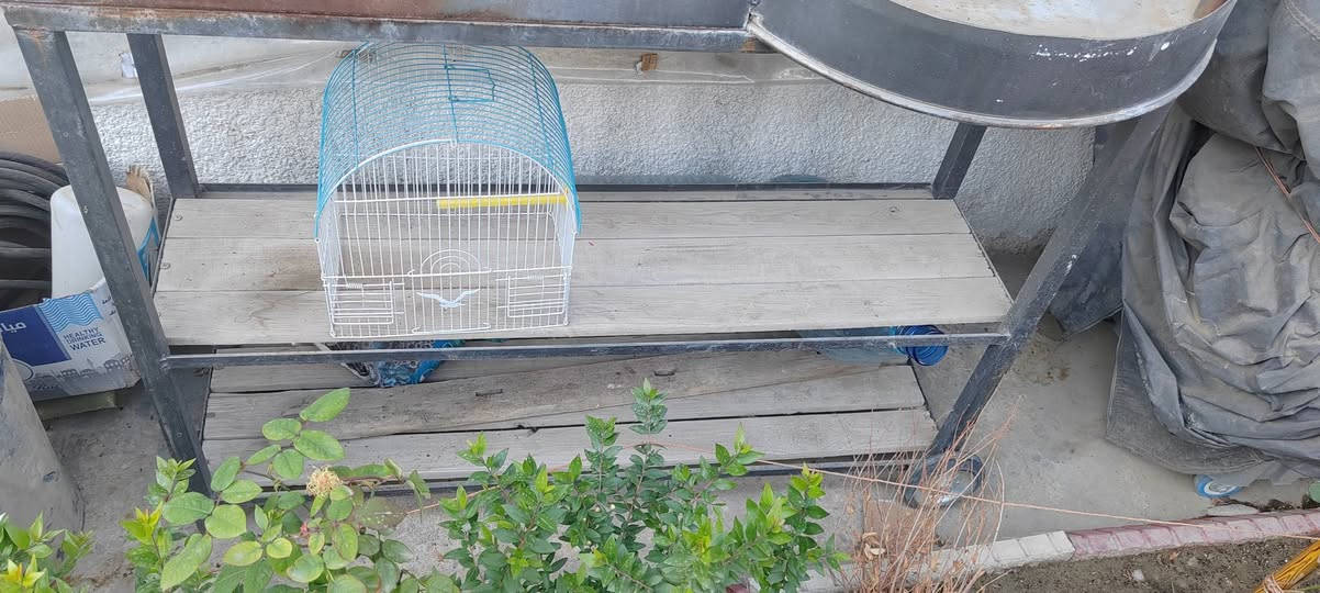 السلام عليكم
منقله للبيع
مع كرسي للرياضه وكرسي للرياضه
الاتصال مازنجر ***********
تحياتي واحترامي للجميع
