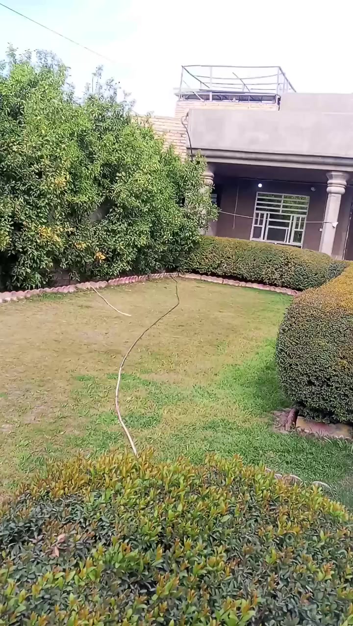 السلام عليكم 
دار للايجار. 500م. هو رجب مجاور السوق 
ايجاره 500. الف.  
للاستفسار ***********
