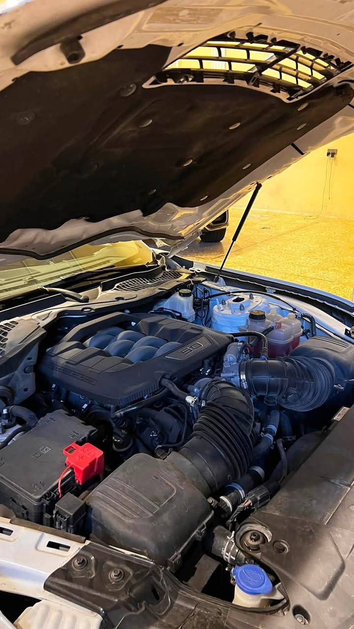 موستنك 2024 GT
Premium 10speed
ماشية 9الاف ميل

* محرك V8 سعة 5.0 لتر
* قوة 486 حصان
* قير أوتوماتيك 10 سرعات
* حزمة Performance Pack
*بريك امامي خلفي  Brembo
* تعليق MagneRide
* ويل 20 وتايرات مشلن 
* شاشة 13.2 إنش
* عدادات رقمية 12.4 إنش
اكتف كزوز سستم 

التزويدات:

* إكسوست Corsa
* داون بايب ستيل
* إكس تيب ستيل
* شوت K&N
* برمجة احترافية
وشوم دارك هورس وكت دارك هورس اصلي 

السيارة نظيفة جدًا، استخدام شخصي لا نازلة ساحة ولا استعراض مكينه كير مكفولات 

حادث السيارة خشم البنيد شربين صبغ فقط ودعامية  امامي 
وبالعراق صار بيها خشم الجملغ الامامي بارد وشويه بالجملغ الخلفي بارد بسيط.

السعر: 285 وبيها مجال 
الموقع: بغداد البلديات
للتواصل: ***********
