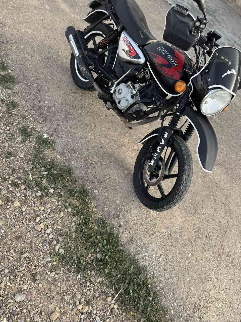 بوكسر للبيع 2023 رقم بغداد انگليزي العنوان بغداد التاجي*********** واتساب
