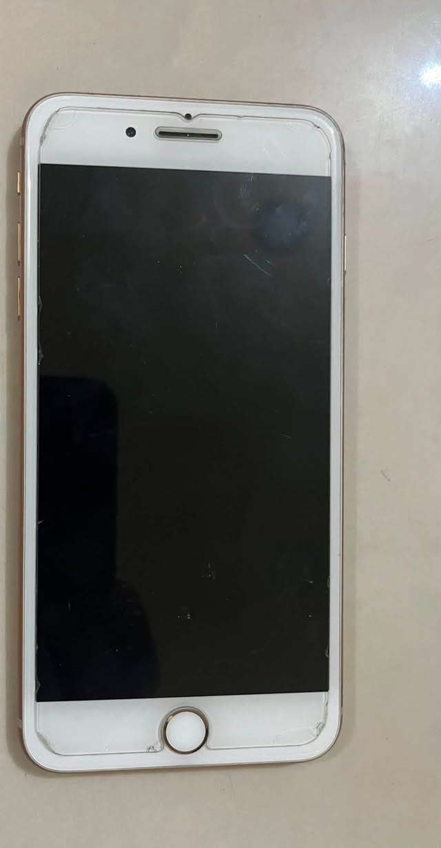 ايفون  8   بلص   64 گيگا    جهاز جديد لوك  مبدل فقط بطارية  السعر  150  الف  بغداد  حي الجوادين


**إذا كنت صاحب هذا الإعلان وتريد حذفه لأي سبب، رجاءا أرسل رسالة إلى الدعم الفني**