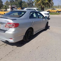 كورلا خليجي • ٢٠١١ • اربيل