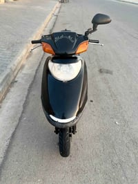 سبيسي • ياباني • شرط