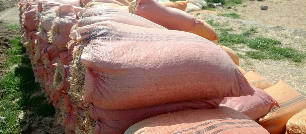 تبن مطحونة الجيس أبو 60سعر2000الكوفه ناحية العباسيه***********
