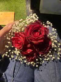 تدريس خصوصي لمادة اللغة العربية البنات حصراً للمرحلة الابتدائية  الراب...