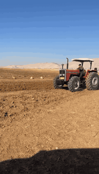 ساحبه للبيع موديل ٢٠٠٠ تحويل شرط كير اكسن كلو شرط بس منزل طخم رنكان ***********
***********
