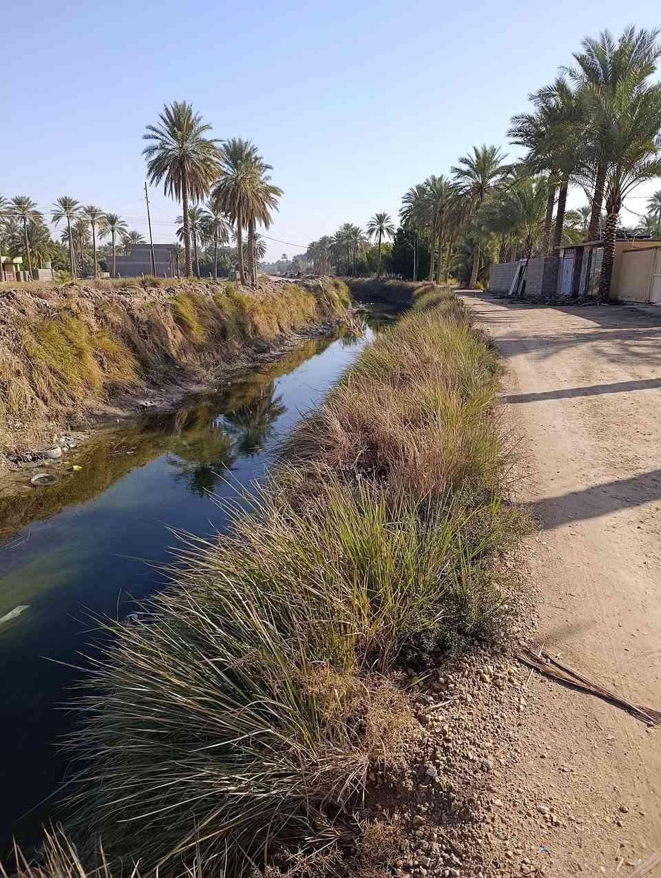 يعلن مكتب وعقارات  بلاد الرافدين للبيع ارض زراعي سند ٢٥ بسم البايع   مساحه ١٤٠٠ متر حله طريق النيل قرب مخازن بيت مرجان مباشر عل جدول  من يرغب بل شراء مراجعت المكتب الكائن حله حي الجزائر  قرب مستشفى الحياه للاستفسار الاتصال  ***********       ***********
