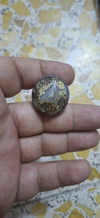داودي • قديم • مصور واضح