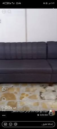 ديواني • ١٠مقاعد • تخم