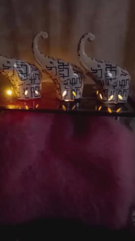 تحفيات ويصيرن مبخره سعر القطعه الف دينار


**إذا كنت صاحب هذا الإعلان وتريد حذفه لأي سبب، رجاءا أرسل رسالة إلى الدعم الفني**