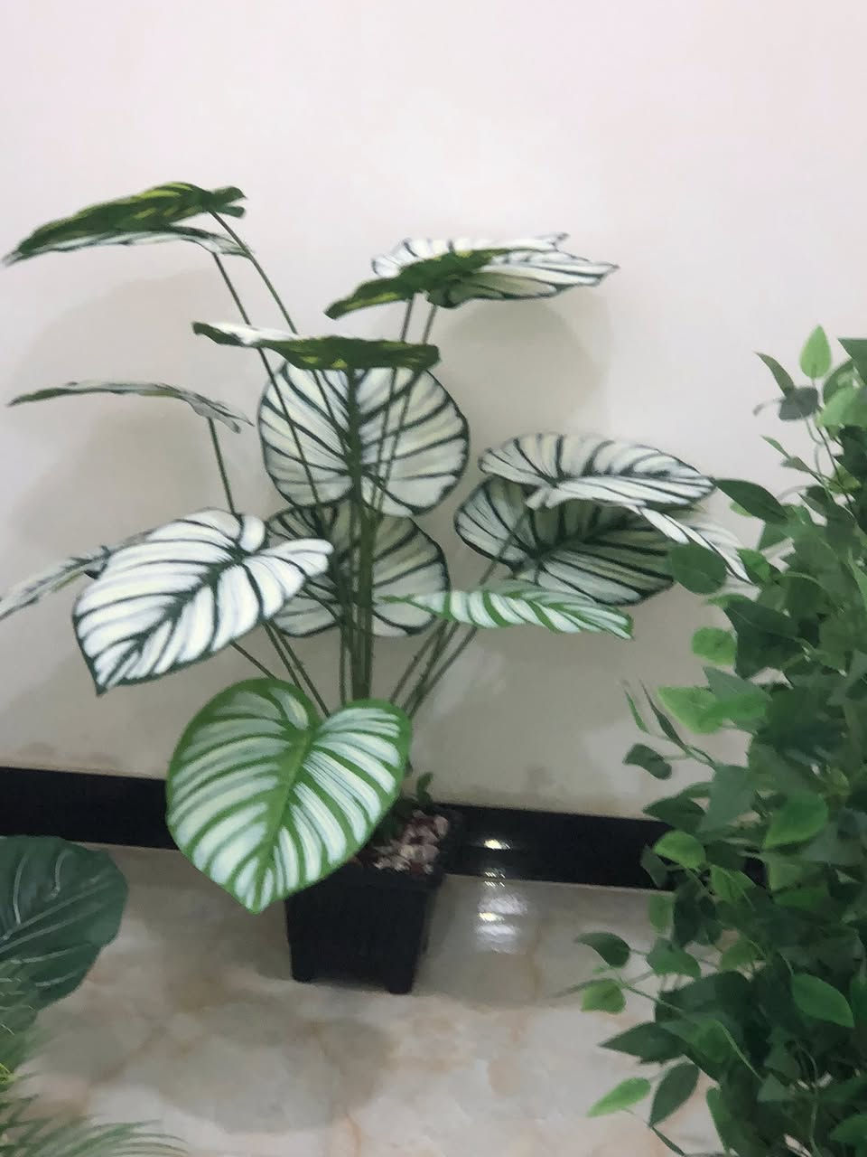 لبيع بغداد الشعب


**إذا كنت صاحب هذا الإعلان وتريد حذفه لأي سبب، رجاءا أرسل رسالة إلى الدعم الفني**