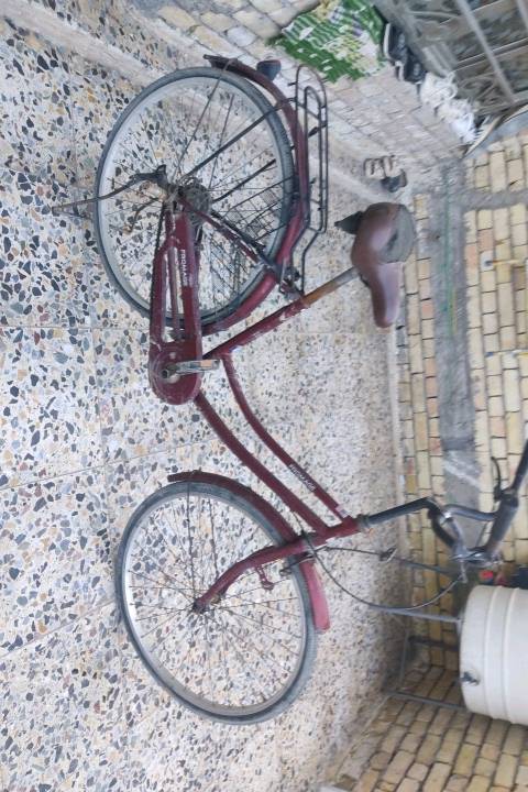 البايسكل نضيف وليريده يراسلني خاص العنوان 
بغداد-شهداء العبيدي 
