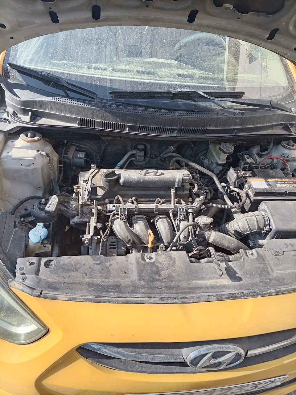 اكسنت 2016 مكفوله كفاله عامه خليجي
رقم بغداد بسمي مصفرة هيئة وغرامات

‭٠٧٧٠ ٣١٧ ٩٣٣٩‬
السعر 70 ورقه وبيها مجال بسيط
