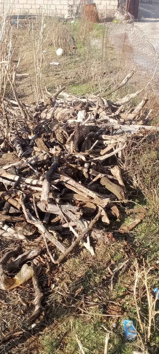 خشب للبيع المكان والسعر عل الرقم او خاص ***********
