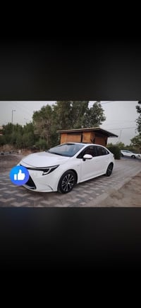 خليجي مكفوله كفاله عامه كورلا  كورلا 2025 رقم بغداد  خليجي مكفوله كفال...