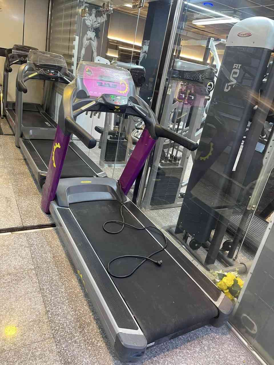 جري سايبكس  امريكي  النظافه  ١٠٠٪؜   ***********
