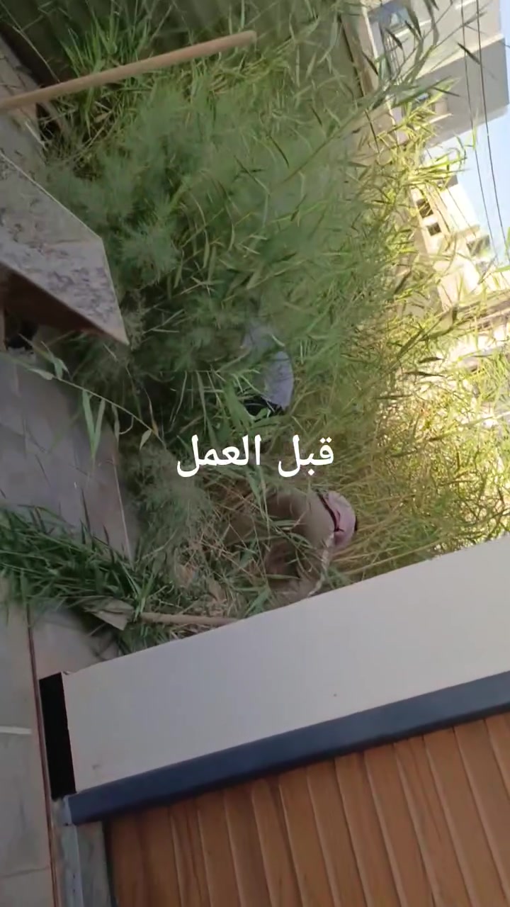 تم اليوم بتاريخ 2026/6/1
نجاز حديقه في الحله مجمع السلام
واليكم تفاصيل العمل
1 حفر الحديقه بعمق متر ونص
2مكافحه الادغار
2وضع تربه مفحوصه مختبر
3عمل تصميم مودرن مع زرع لاند سكيب
4فرش الثيل دائم الخضار
للاتصال *********** لعمل كل مايخص الحدائق
#ضمان_العمل5سنوات
#متابعه_مجاناا_3اشهر
