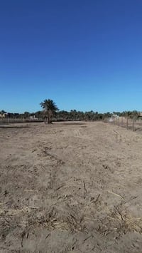 الحلة • دونم ونص • طابو زراعي