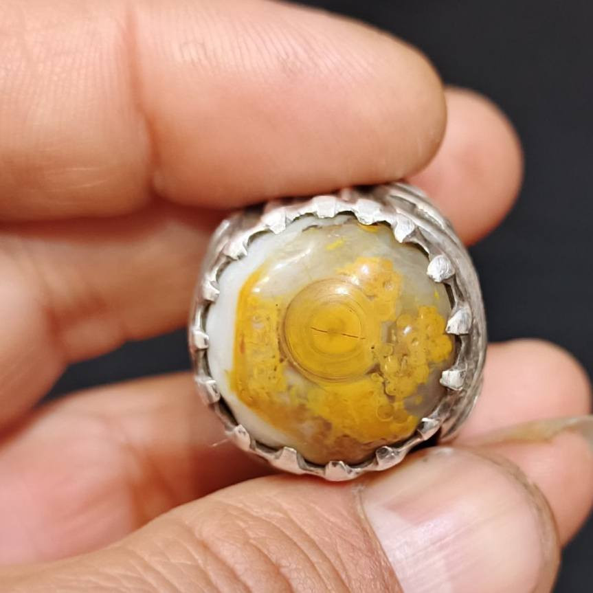 داوودي للبيع بغداد ***********
