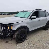 كيا تيلورايد • ٢٠٢٤ • مزاد النجف